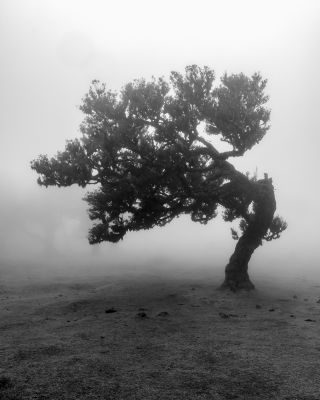 Madeira Photography Tour