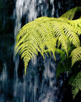Madeira Landscape Photography