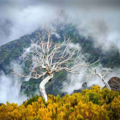 Madeira Photography Tour