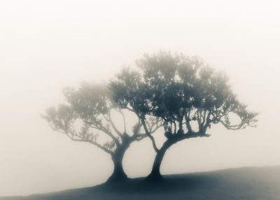 Madeira Landscape Photography