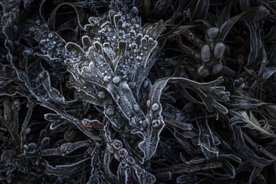 Northumberland Coast Photography Tour