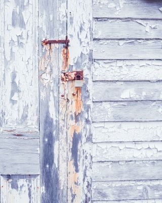 Icebergs, Outports, Barrens and Beaches - Photography Tour of Newfoundland’s Avalon and Bonavista Peninsulas 1