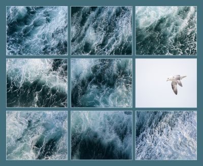 Icebergs, Outports, Barrens and Beaches - Photography Tour of Newfoundland’s Avalon and Bonavista Peninsulas 1
