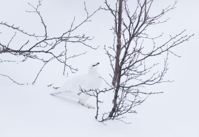 Northern Iceland Landscape Photography Tour