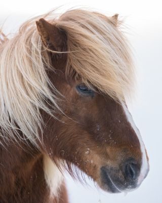 Iceland Photography Holiday