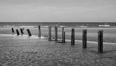 Waves, Wading Birds and Woodland - Norfolk Creative Photography Tour 1