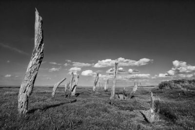 Waves, Wading Birds and Woodland - Norfolk Creative Photography Tour 1