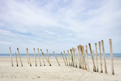 Waves, Wading Birds and Woodland - Norfolk Creative Photography Tour 1