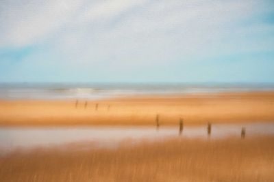 Waves, Wading Birds and Woodland - Norfolk Creative Photography Tour 1