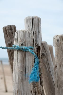 Waves, Wading Birds and Woodland - Norfolk Creative Photography Tour 1