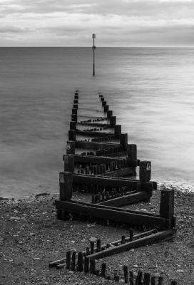 Waves, Wading Birds and Woodland - Norfolk Creative Photography Tour 1