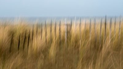 Waves, Wading Birds and Woodland - Norfolk Creative Photography Tour 1