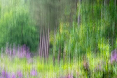 Waves, Wading Birds and Woodland - Norfolk Creative Photography Tour 1