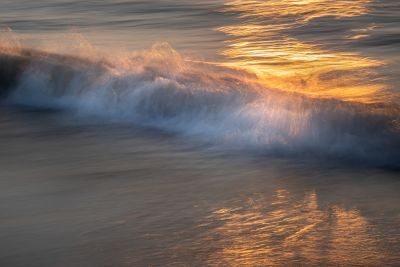 Waves, Wading Birds and Woodland - Norfolk Creative Photography Tour 1