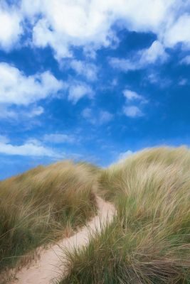 Waves, Wading Birds and Woodland - Norfolk Creative Photography Tour 1