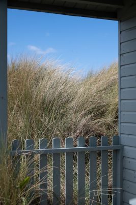 Waves, Wading Birds and Woodland - Norfolk Creative Photography Tour 1