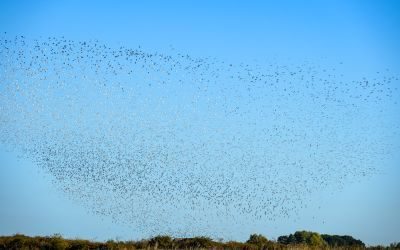 Norfolk Coast Photography Tour