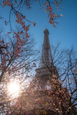 Paris Photography Tour