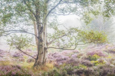 Peak District Photography Tour