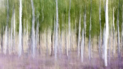 Peak District Photography Holiday 