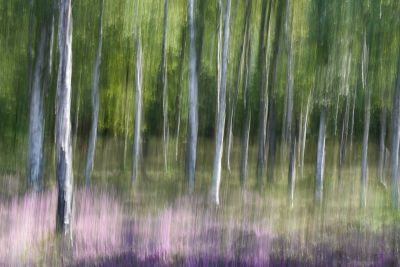 Peak District Photography Holiday