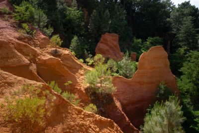 Provence & Camargue Photography Holiday