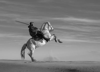 Camargue Photography Holiday