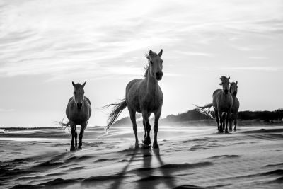 Provence Photography Tour