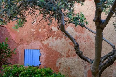 Provence & Camargue Photography Tour