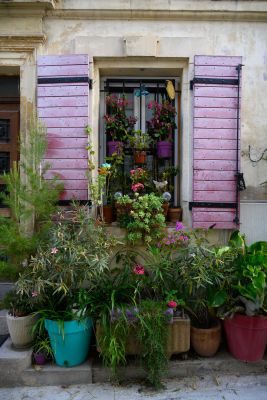 Provence & Camargue Photography Holiday