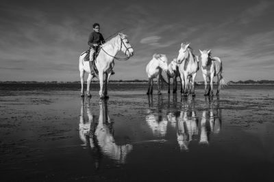 Provence & Camargue Photography Tour