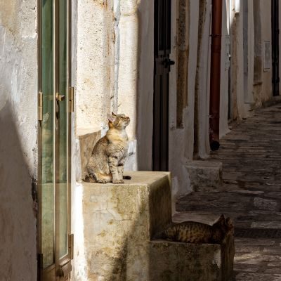 Puglia Photography Tour