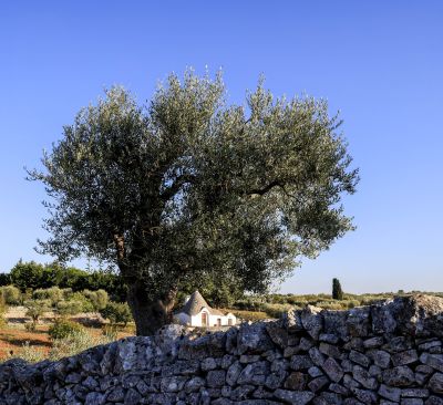 Puglia Landscape Photography