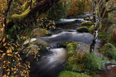 Riverside Colours of Dartmoor Photography