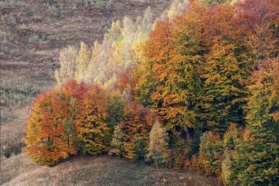 Transylvania Landscape Photography Tour