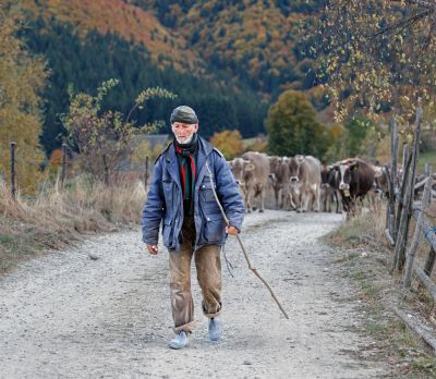 Transylvania Photography Holiday