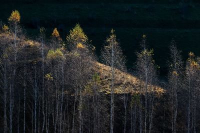 Transylvania Photography Tour