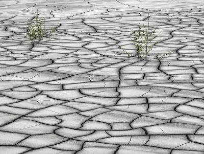 Transylvania Photography Tour