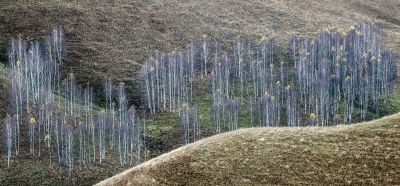 Romania Landscape Photography Tour