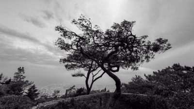 Mediterranean Legend in White and Blue - Santorini Photography Tour 1