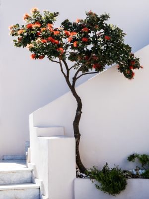 Mediterranean Legend in White and Blue - Santorini Photography Tour 1