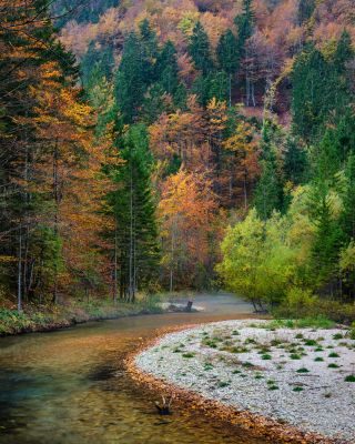 Autumnal Adventure in Spectacular Slovenia 1