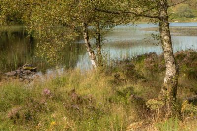 Snowdonia Photography Workshop