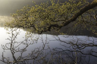 Snowdonia Lakes Photography Workshop Snowdonia Lakes Photography Workshop