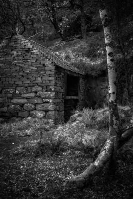 Snowdonia Photography Workshop