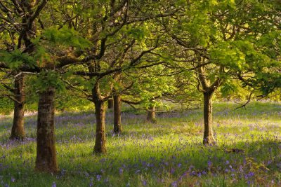 Dumfries and Galloway Photography Tour Dumfries and Galloway Photography Tour