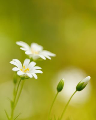 Dumfries and Galloway Photography Tour