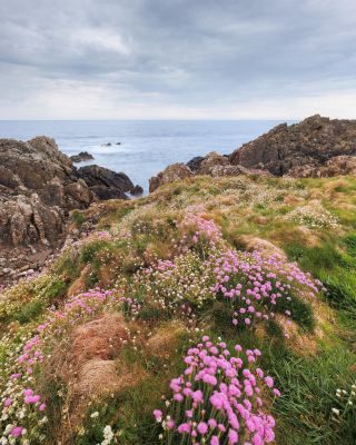 Dumfries and Galloway Photography Tour