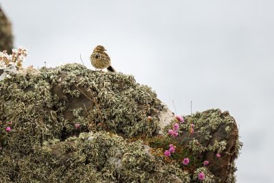 Dumfries and Galloway Photography Tour