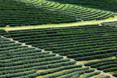 The Land of Smiles - Thailand Photography Tour 1